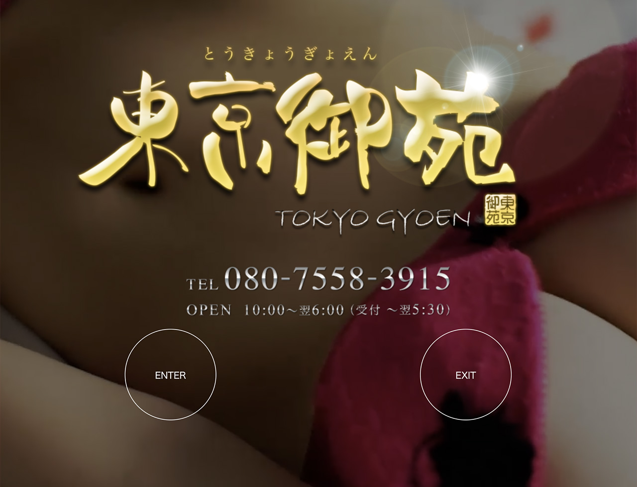 2026年3月、東京御苑は東京メロいに店名が変わりました